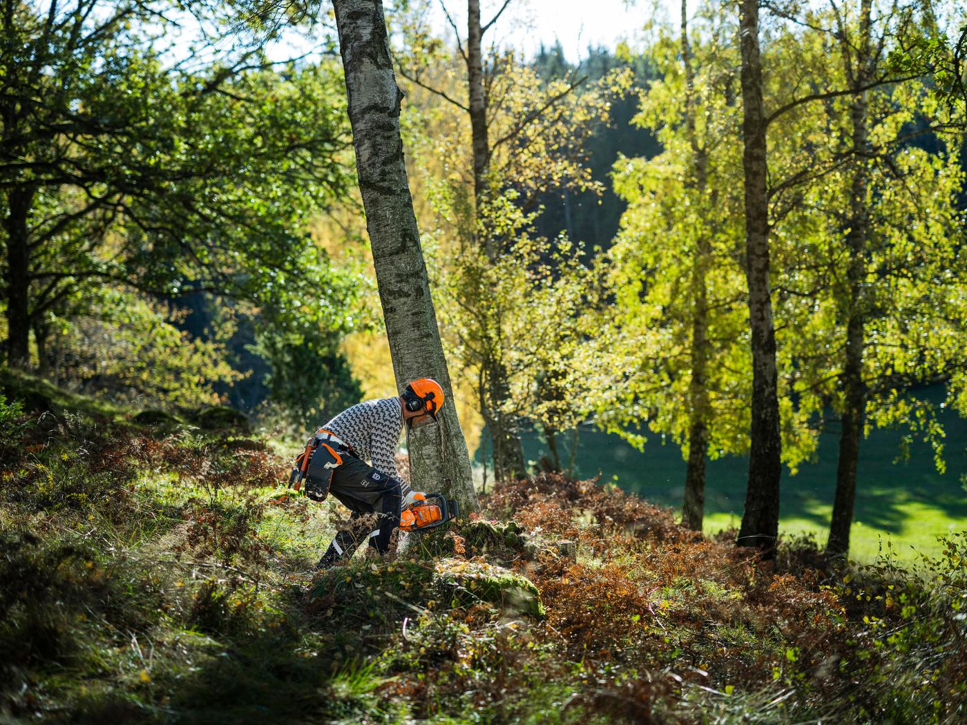 Medarbejder, der fælder et træ med en motorsav fra Husqvarna