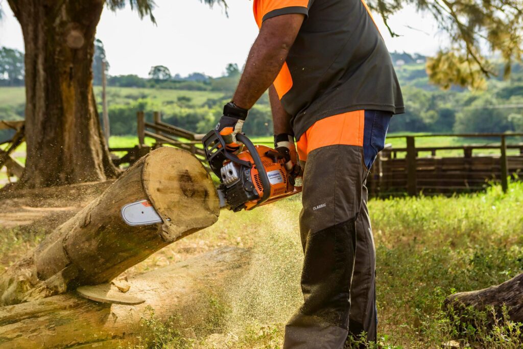 Medarbejder der saver en træstump, med en Husqvarna sav