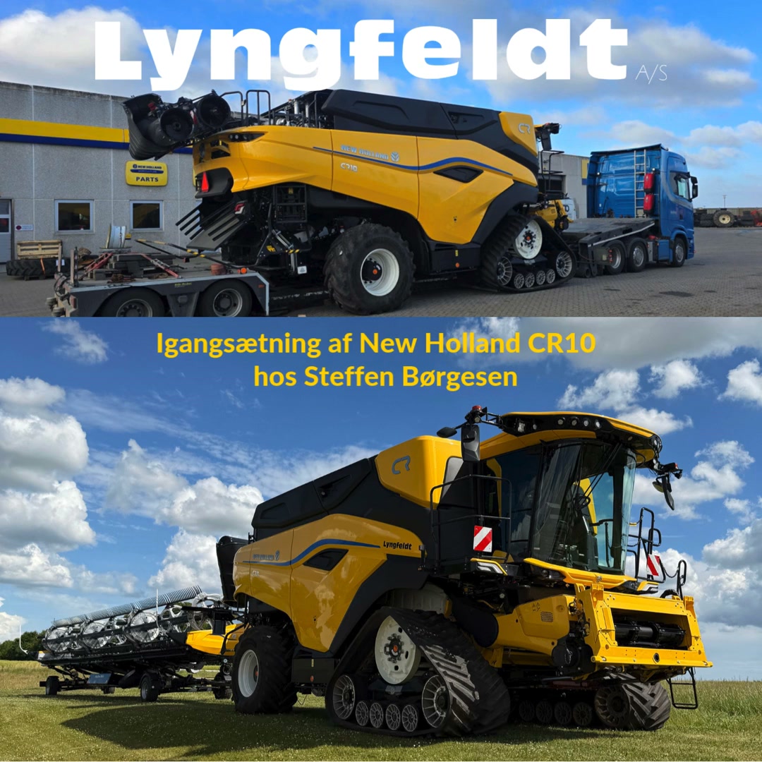 Lyngfeldt