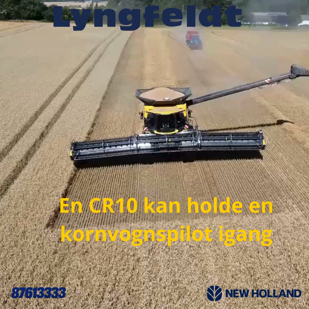 Lyngfeldt