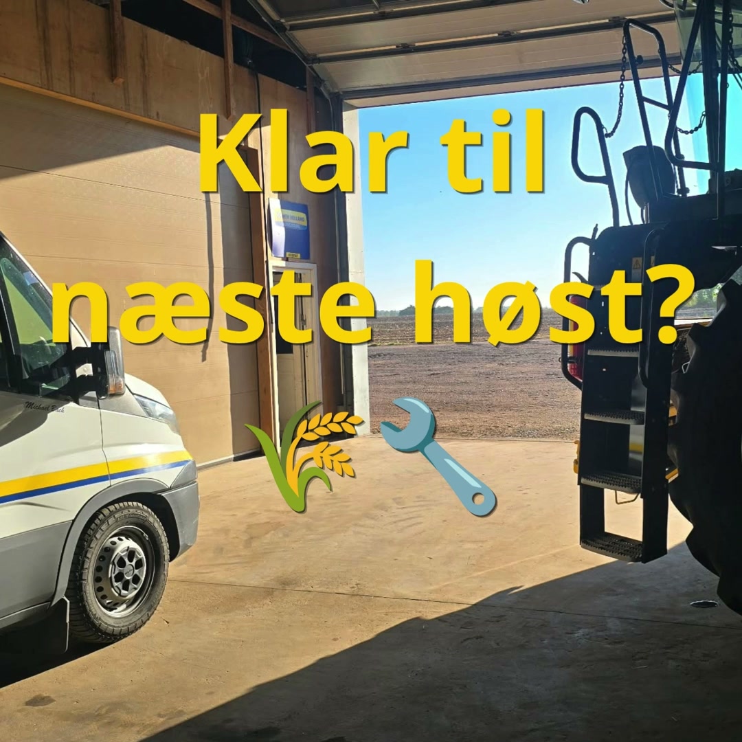 Lyngfeldt