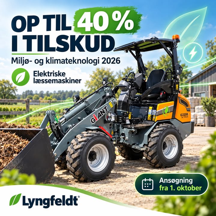 Lyngfeldt