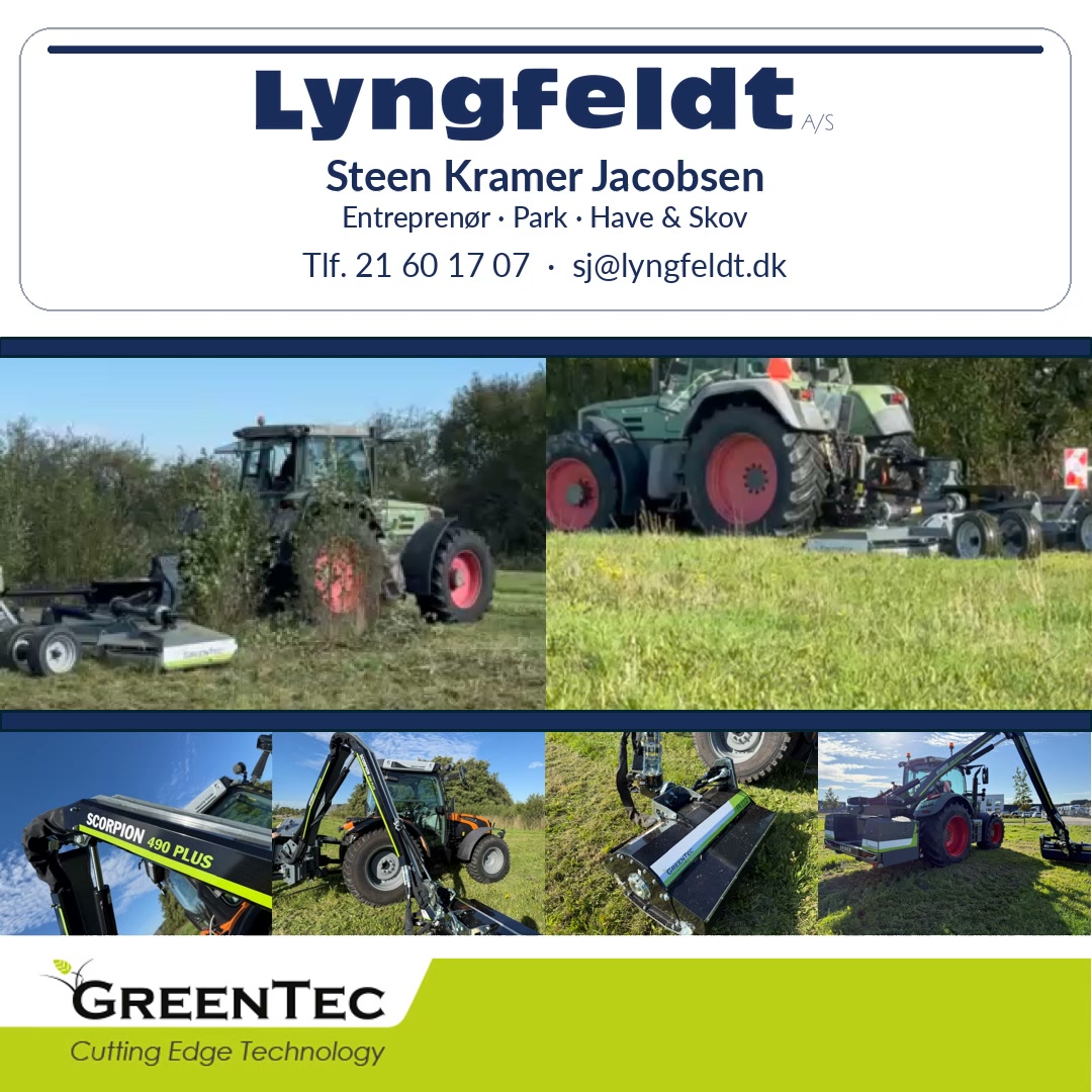 Lyngfeldt