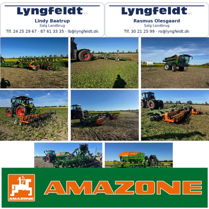 Lyngfeldt